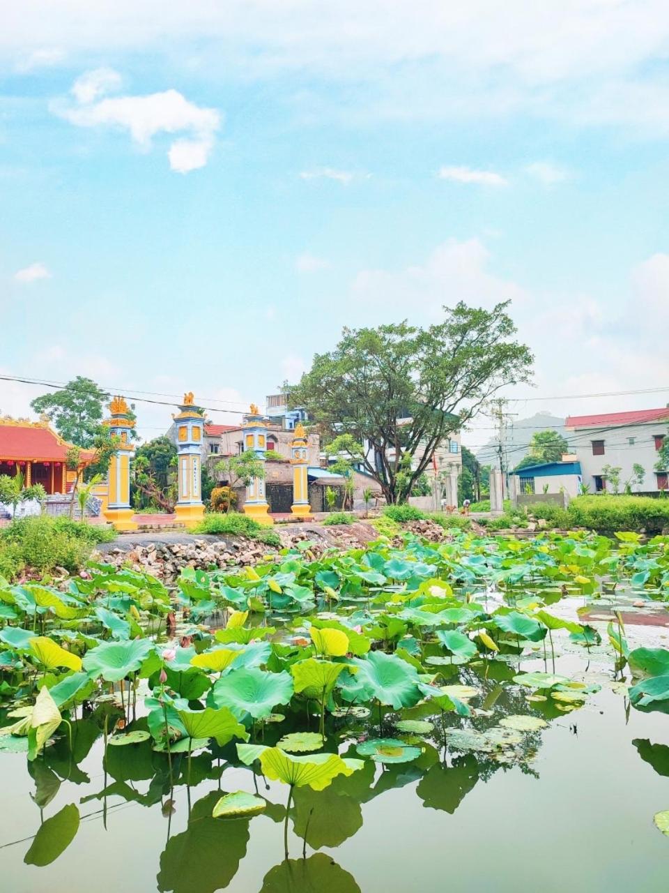 Trang An Natural Mountainside Homestay Ninh Binh Dış mekan fotoğraf