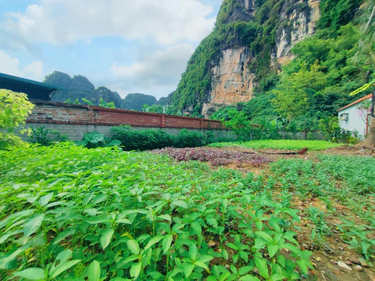 Trang An Natural Mountainside Homestay Ninh Binh Dış mekan fotoğraf